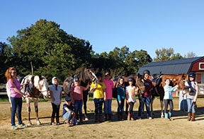 Spirit Horse Ranch - Asheboro