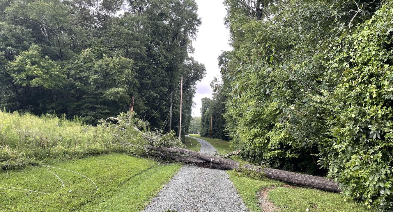 Tropical Storm Debby Damage