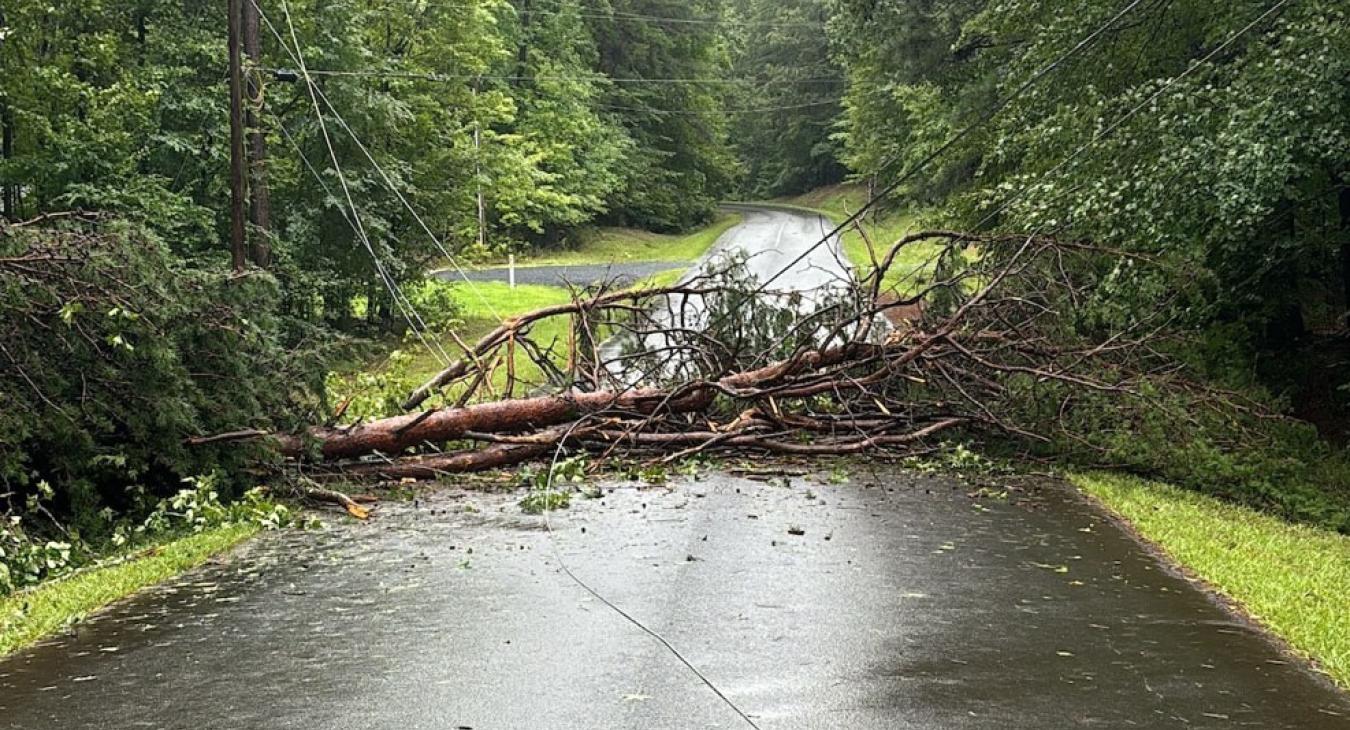 Tropical Storm Debby Damage